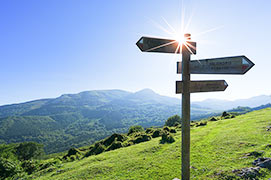 十八禁不卡国产在线播放