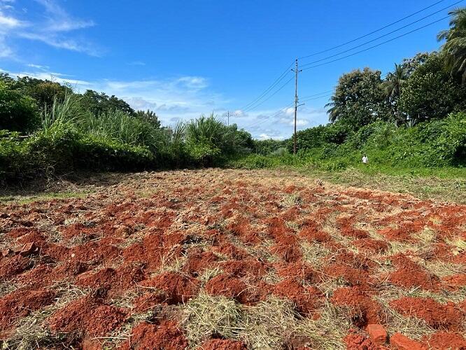 十八禁不卡国产在线播放