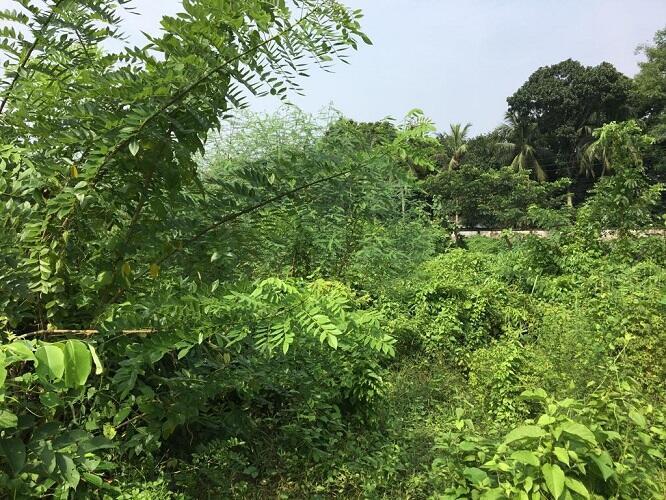 十八禁不卡国产在线播放