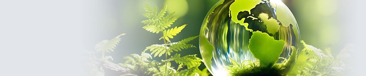 十八禁不卡国产在线播放