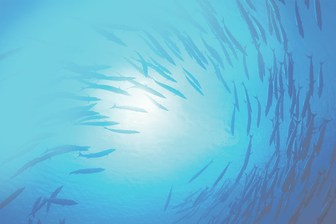 十八禁不卡国产在线播放