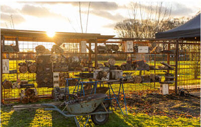 十八禁不卡国产在线播放