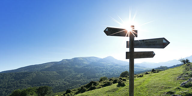 十八禁不卡国产在线播放