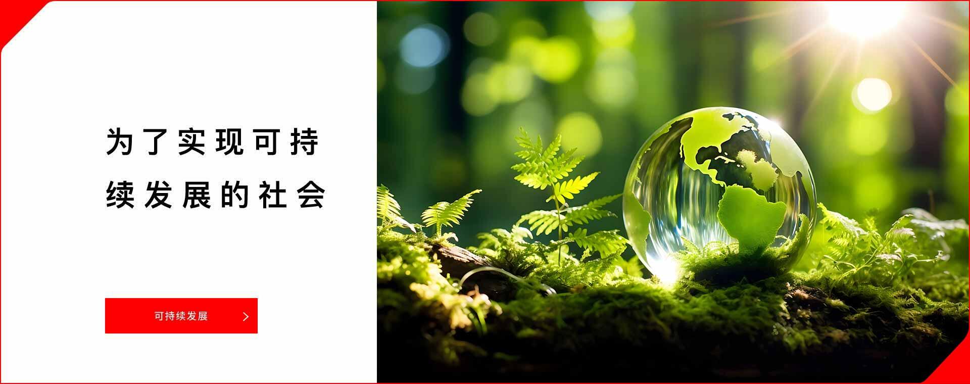 为了实现可持续发展的社会「可持续发展」