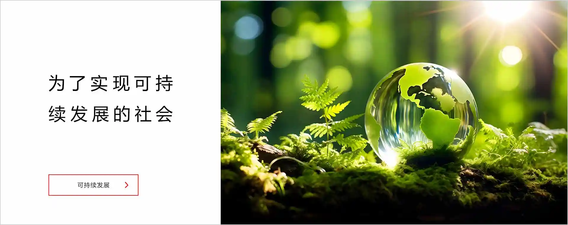 为了实现可持续发展的社会「可持续发展」
